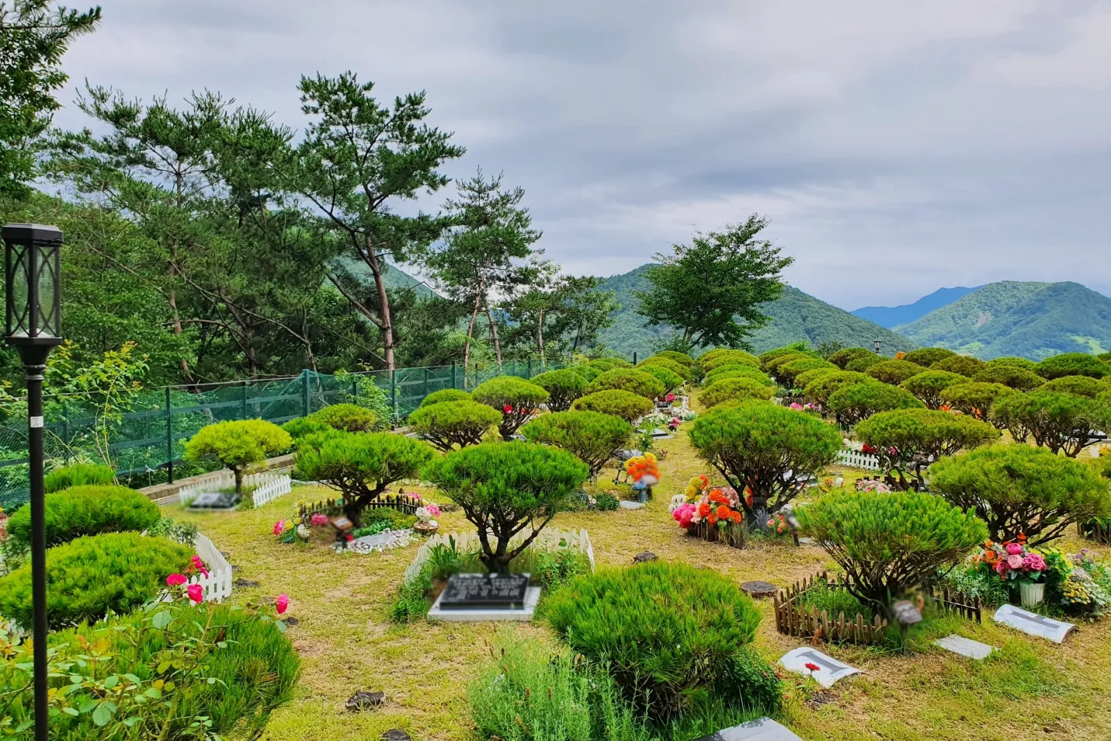 수정20210708_143705.jpg